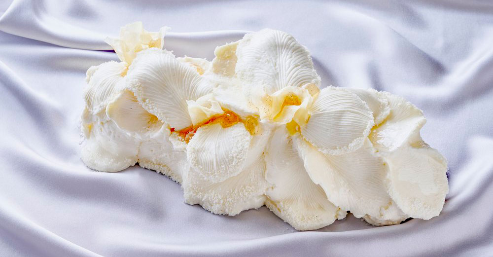 La bûche Haute Gourmandise du Park Hyatt Vendôme