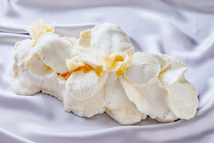 La bûche Haute Gourmandise du Park Hyatt Vendôme