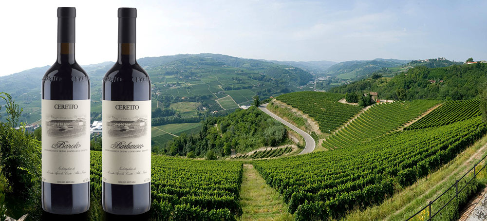 Découvrez la cave à vin Ceretto